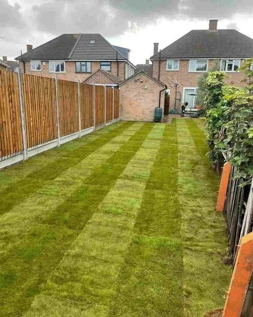 FInished Grass Turf in Essex