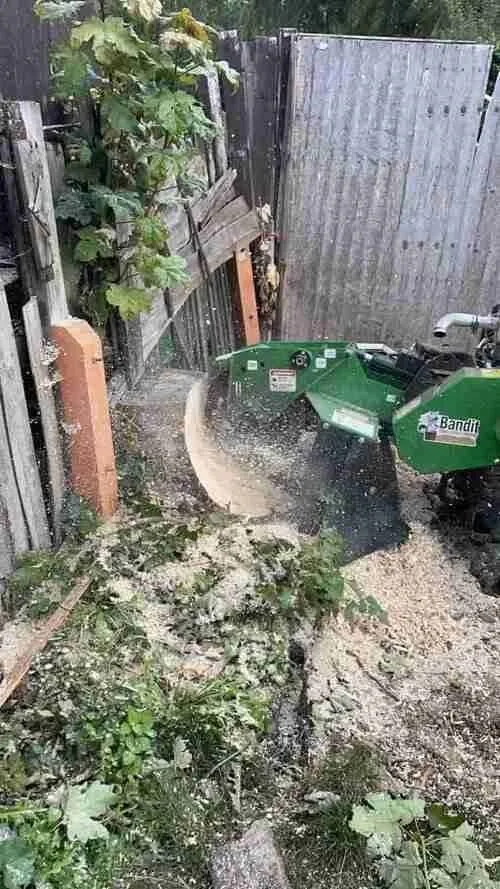 a holistic approach to landscape lnhancement