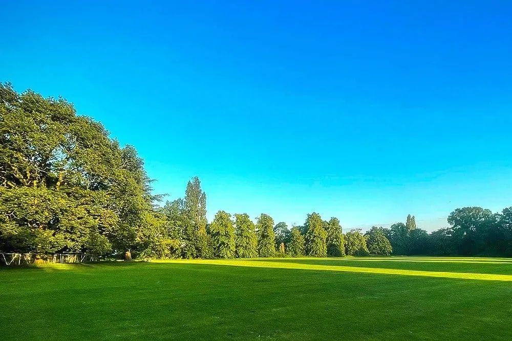 ask chigwell tree services in essex and london