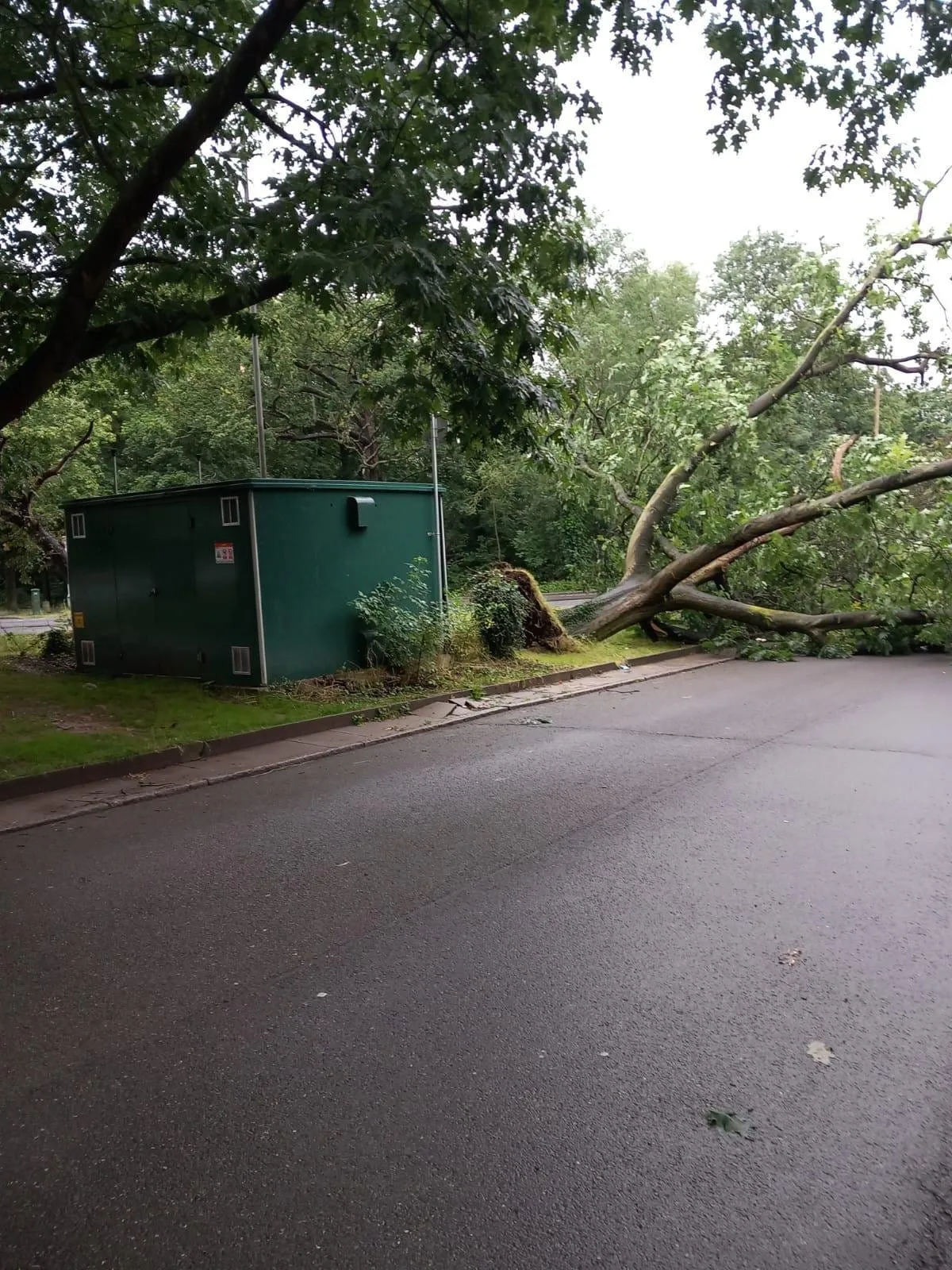 extreme weather in essex and london chingwelltreeservice uk
