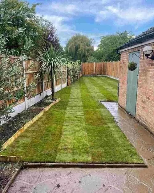 transforming landscape the power ofcomprehensive tree care chingwelltreeservice uk