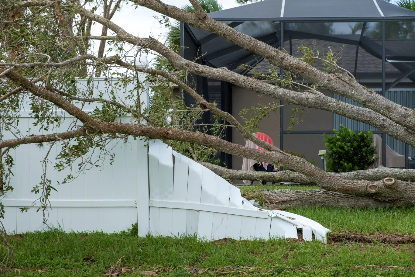 Storm-damaged tree fallen onto a garden fence and patio area, highlighting the need for professional emergency tree services to restore safety and prevent further property damage.